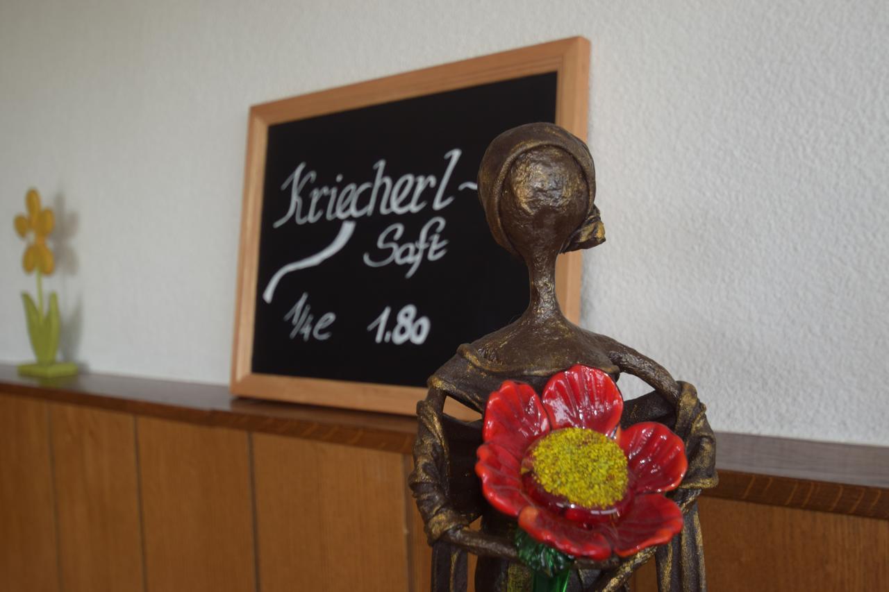 Gasthaus Donaublick Leiben Экстерьер фото